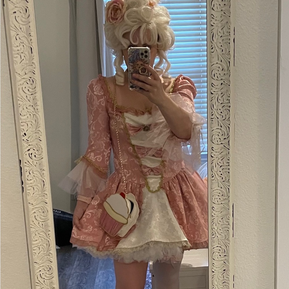 Marie Antoinette Halloween Costume